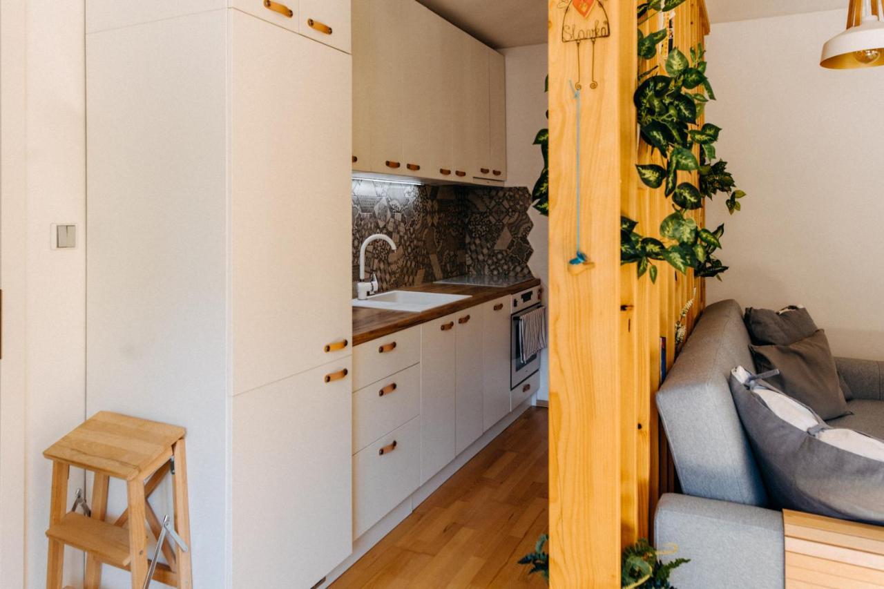 Apartman V Srdci Znojma „Jako Doma“ Znojmo Luaran gambar